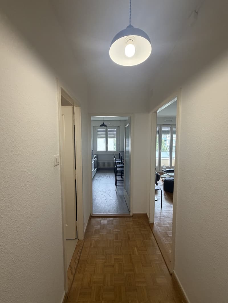 Sous-location : 2 pièces meublé et rénové avec balcon, ascenseur, Servette (7)