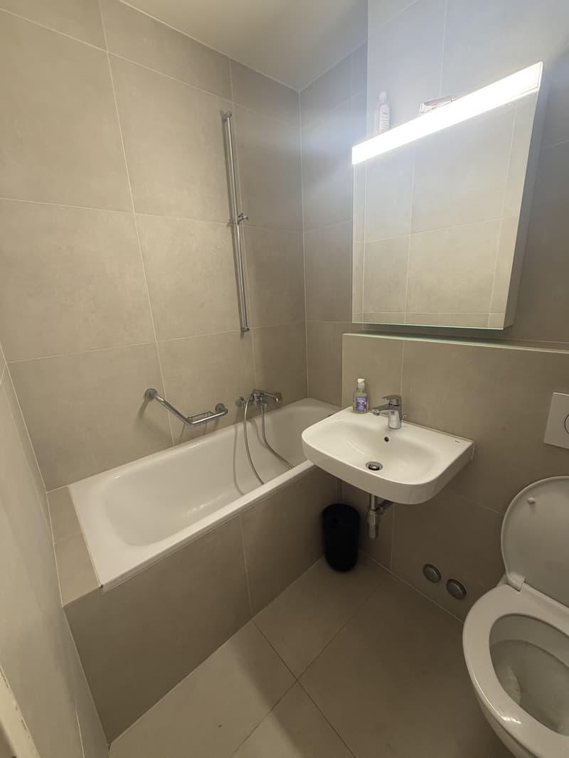 Sous-location : 2 pièces meublé et rénové avec balcon, ascenseur, Servette (5)