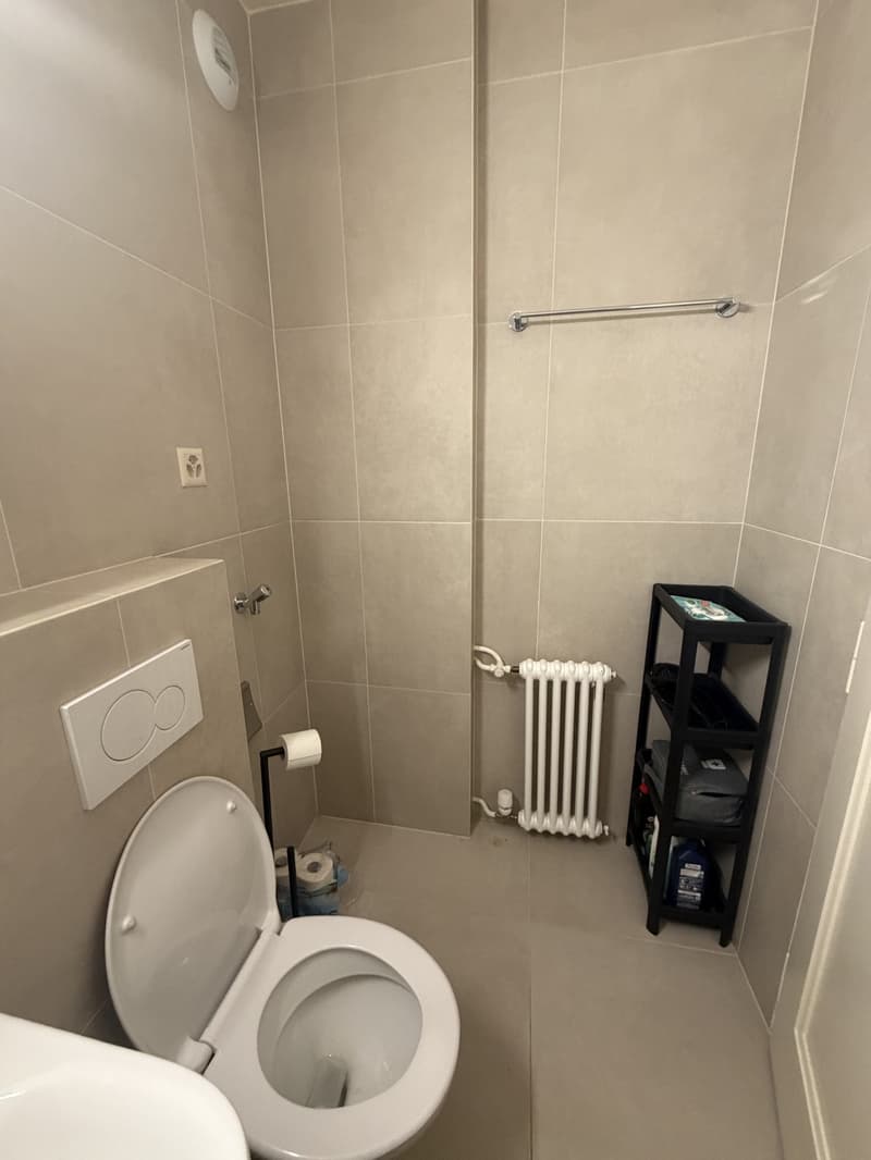 Sous-location : 2 pièces meublé et rénové avec balcon, ascenseur, Servette (6)