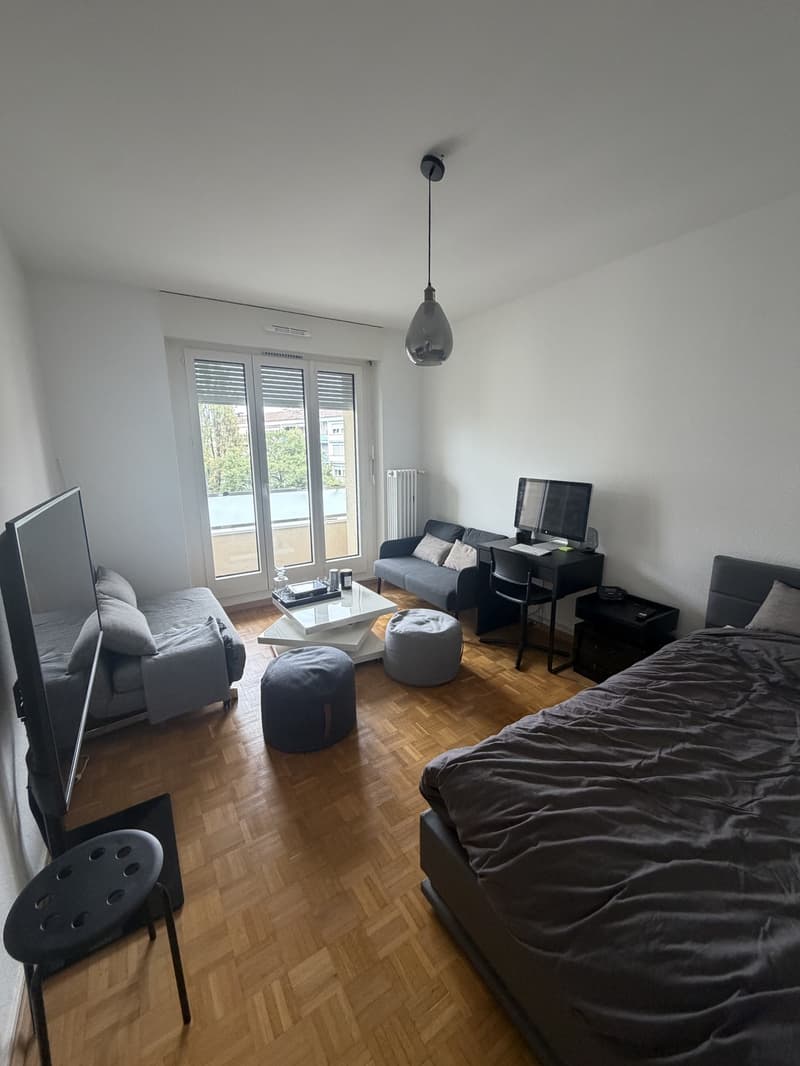 Sous-location : 2 pièces meublé et rénové avec balcon, ascenseur, Servette (2)