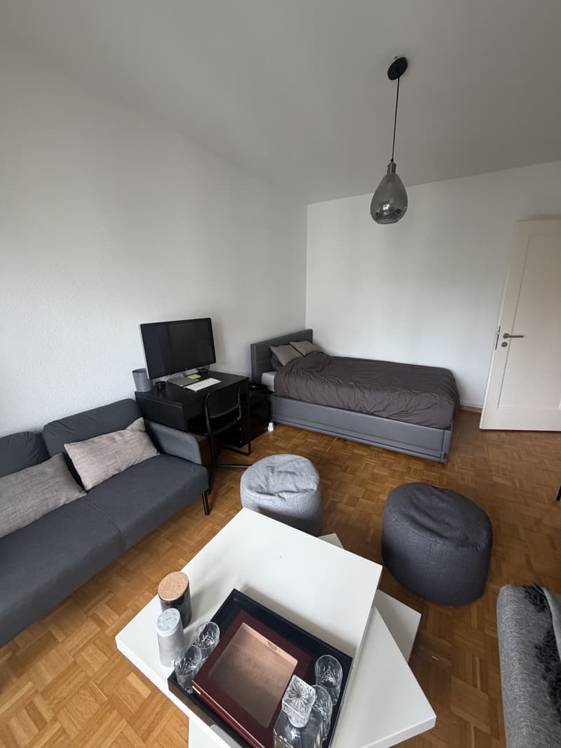 Sous-location : 2 pièces meublé et rénové avec balcon, ascenseur, Servette (1)