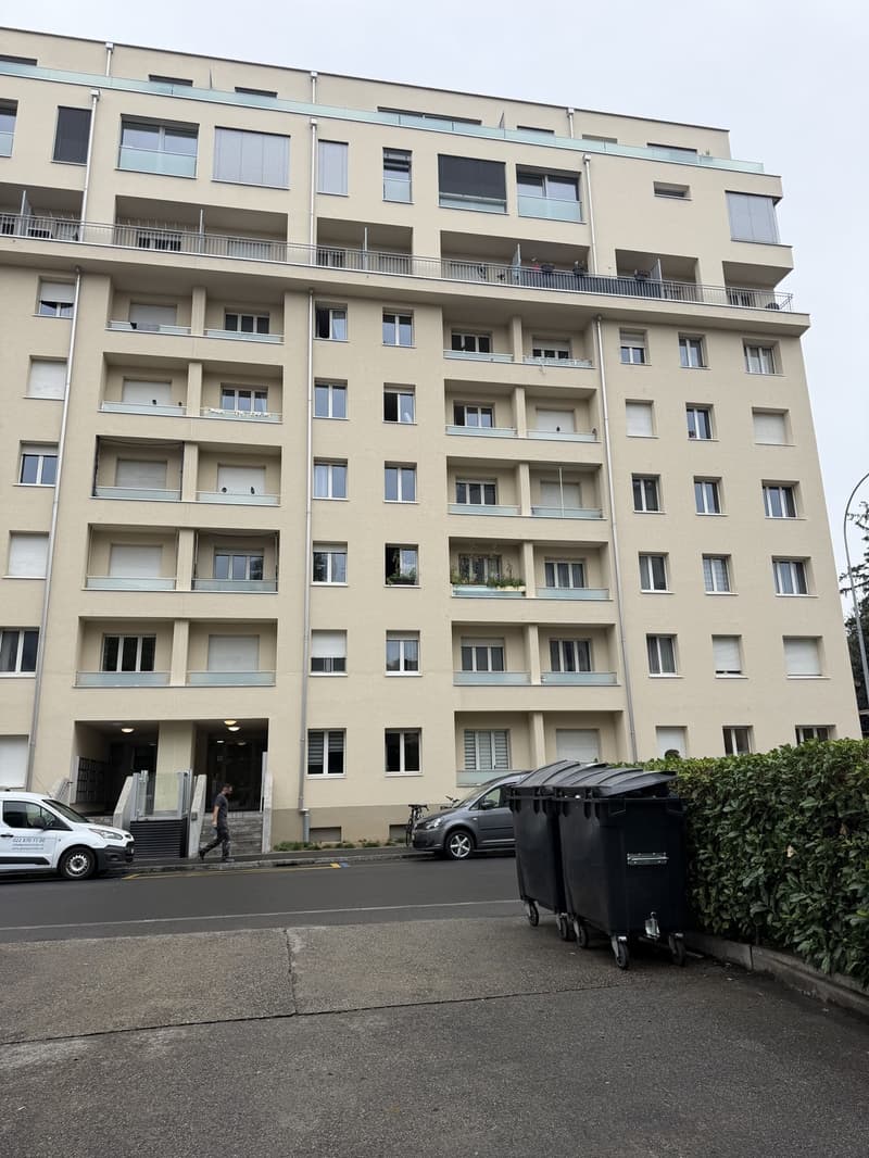 Sous-location : 2 pièces meublé et rénové avec balcon, ascenseur, Servette (10)