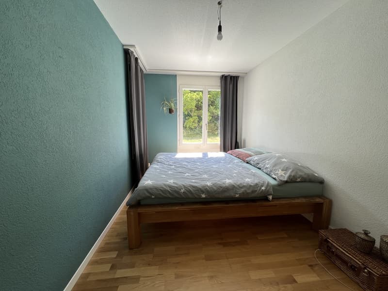 Zwischenmiete Wädenswil befristet (5)