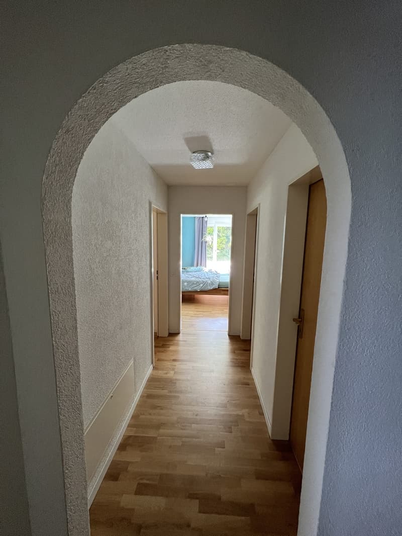 Zwischenmiete Wädenswil befristet (7)
