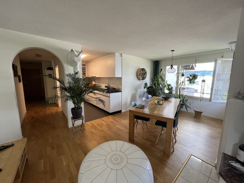 Zwischenmiete Wädenswil befristet (6)