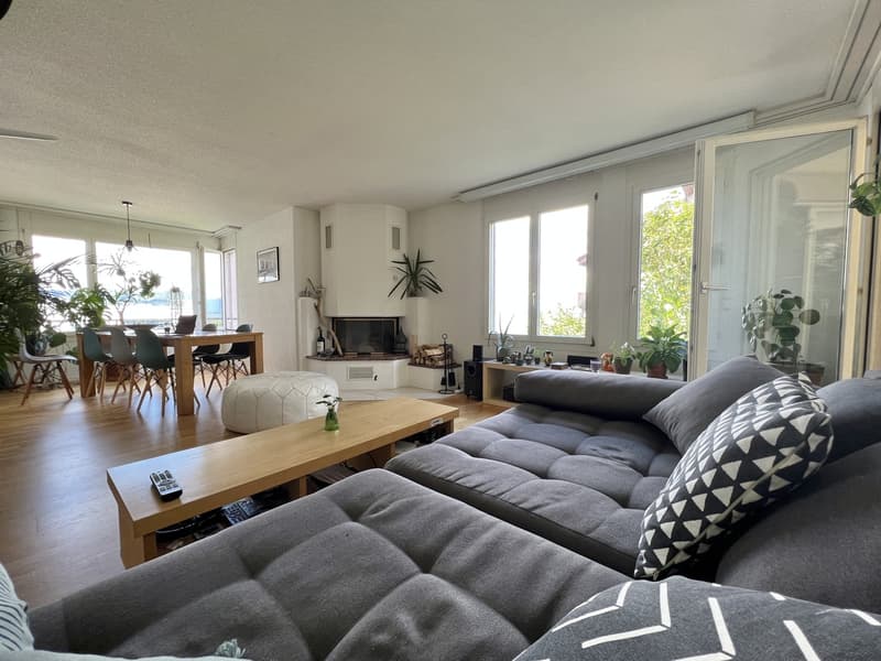 Zwischenmiete Wädenswil befristet (3)