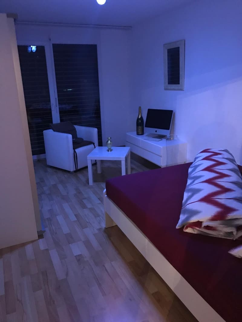 Wg-Zimmer in 3.5 Zi-Wohnung in Winterthur-Wülflingen (1)