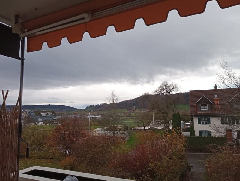 Wohnen zwischen Zürich und Zug im steuergünstigen Wettswil am Albis (6)