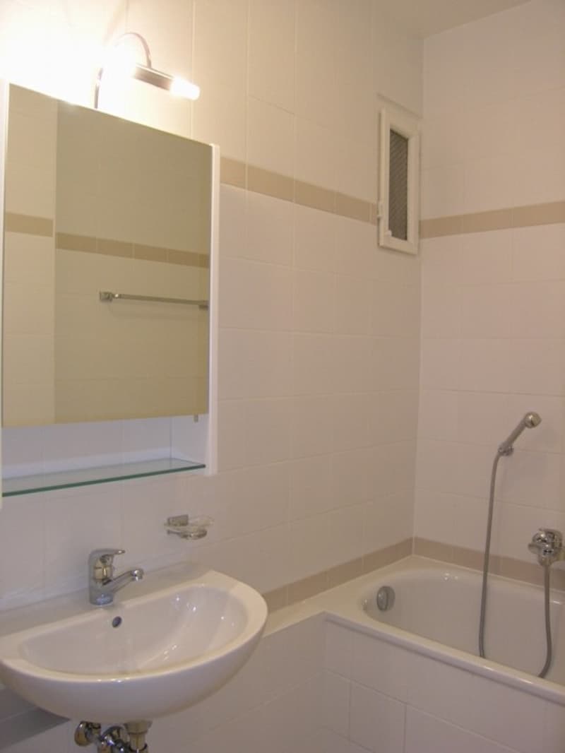 Charmant 4.5 p. lumineux avec balcons / Charming bright 4.5-room flat with balconies (4)