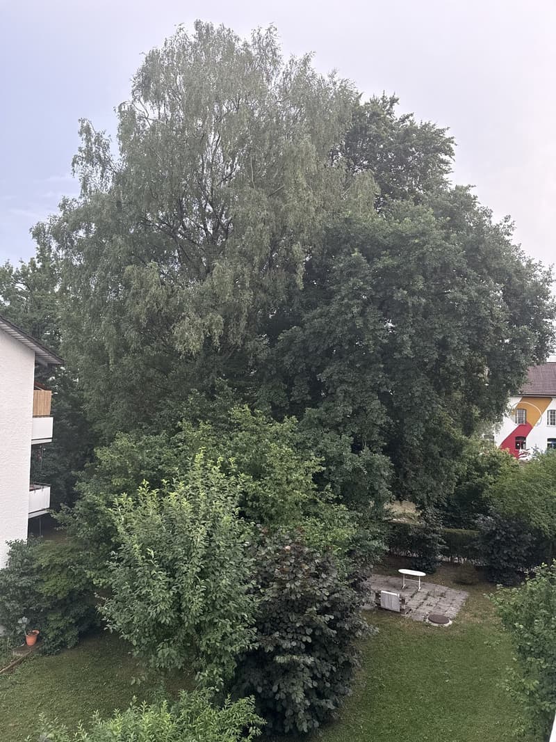 WG Zimmer, 8152 Glattbrugg (5)