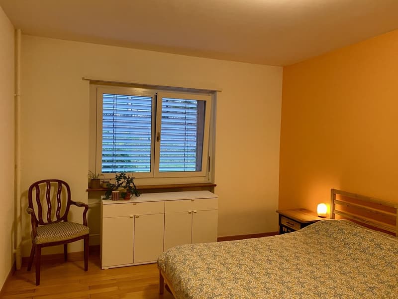 Sublet: cosy, furnished 3.5-room apartment in Zürich, 3 months (January - March) (6)