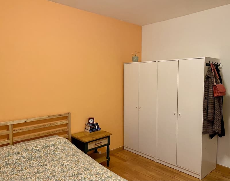 Sublet: cosy, furnished 3.5-room apartment in Zürich, 3 months (January - March) (7)