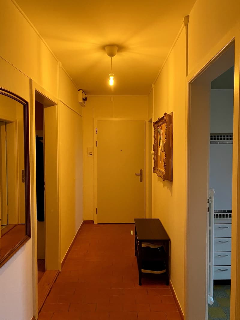 Sublet: cosy, furnished 3.5-room apartment in Zürich, 3 months (January - March) (5)