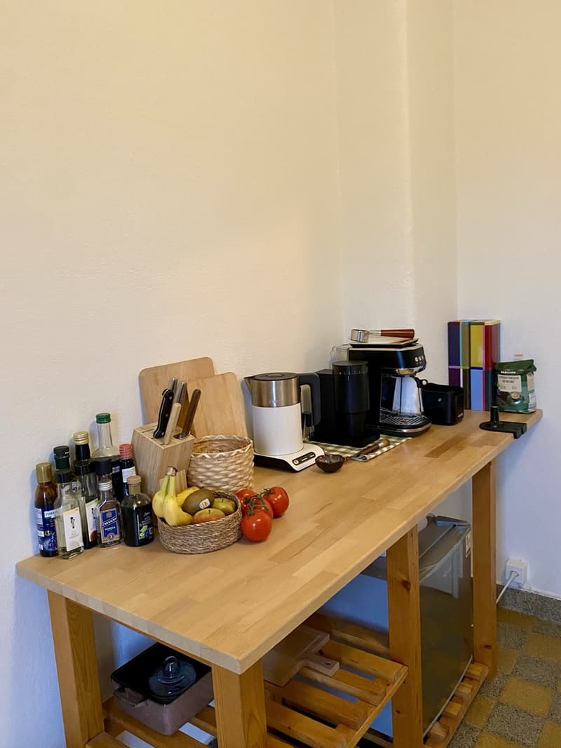 Sublet: cosy, furnished 3.5-room apartment in Zürich, 3 months (January - March) (11)