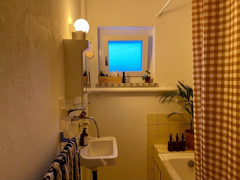 Sublet: cosy, furnished 3.5-room apartment in Zürich, 3 months (January - March) (13)