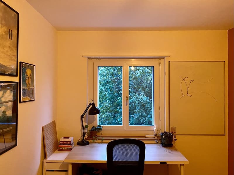 Sublet: cosy, furnished 3.5-room apartment in Zürich, 3 months (January - March) (9)