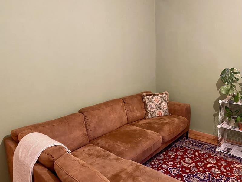 Sublet: cosy, furnished 3.5-room apartment in Zürich, 3 months (January - March) (3)
