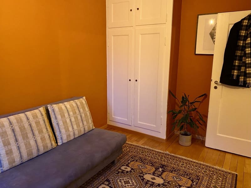 Sublet: cosy, furnished 3.5-room apartment in Zürich, 3 months (January - March) (8)