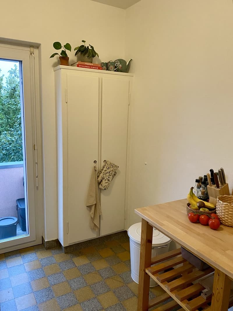 Sublet: cosy, furnished 3.5-room apartment in Zürich, 3 months (January - March) (12)