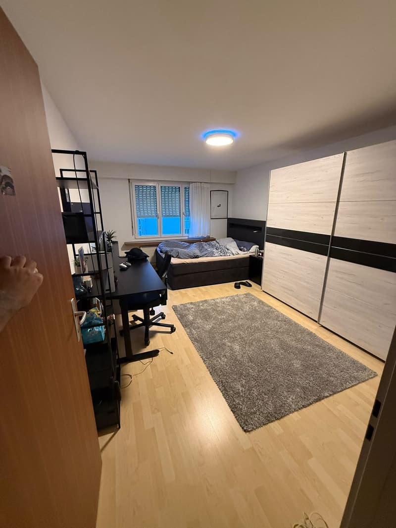 Grosszügige 4½-Zimmer-Wohnung mit Balkon im Herzen von Neuhausen am Rheinfall (8)