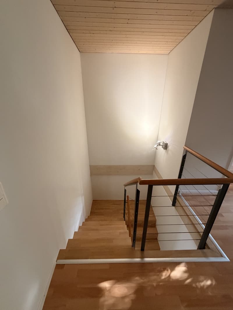 Charmante kleine Wohnung an ruhiger Lage in Adliswil (3)