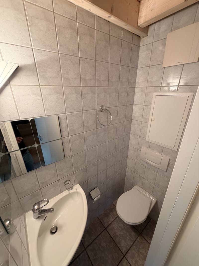 Charmante kleine Wohnung an ruhiger Lage in Adliswil (9)