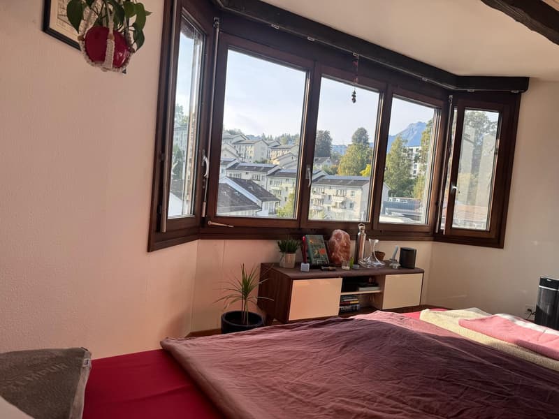 Dachzimmer im Penthause (5)