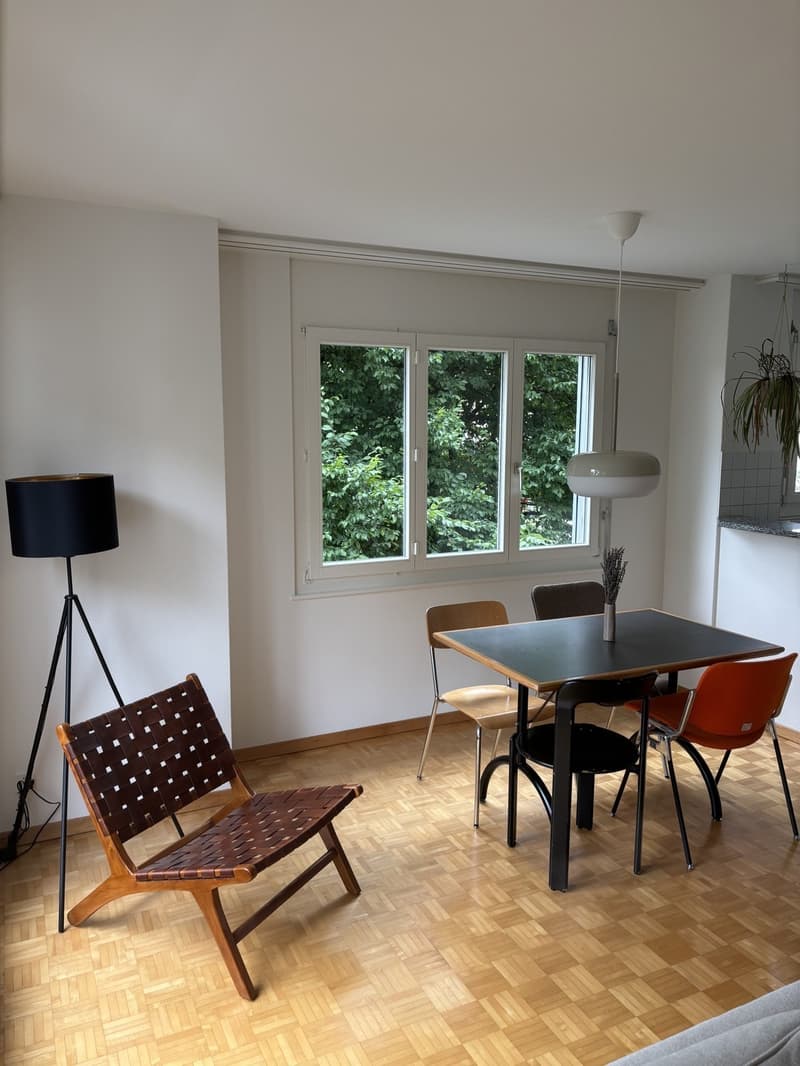 Schöne Wohnung beim Triemli zur Untermiete (befristet, möbliert). (1)