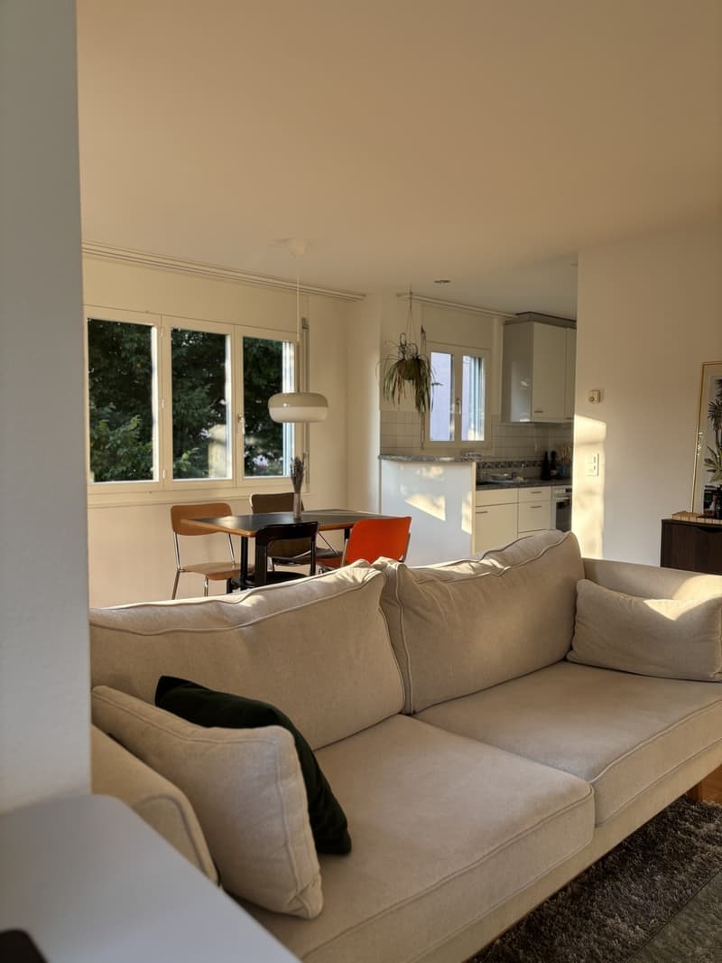 Schöne Wohnung beim Triemli zur Untermiete (befristet, möbliert). (8)