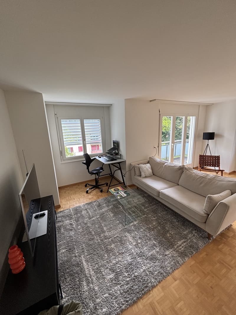 Schöne Wohnung beim Triemli zur Untermiete (befristet, möbliert). (3)