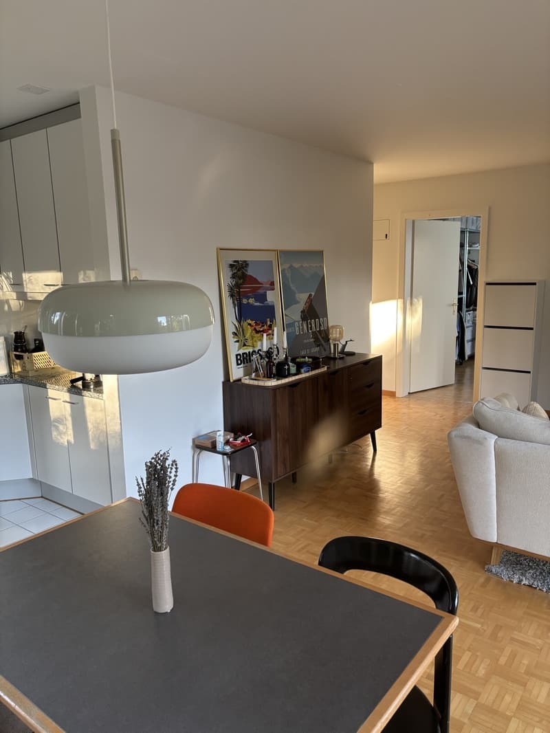 Schöne Wohnung beim Triemli zur Untermiete (befristet, möbliert). (7)