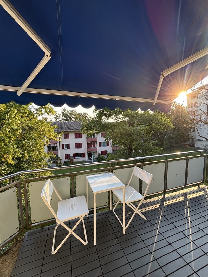 Schöne Wohnung beim Triemli zur Untermiete (befristet, möbliert). (2)