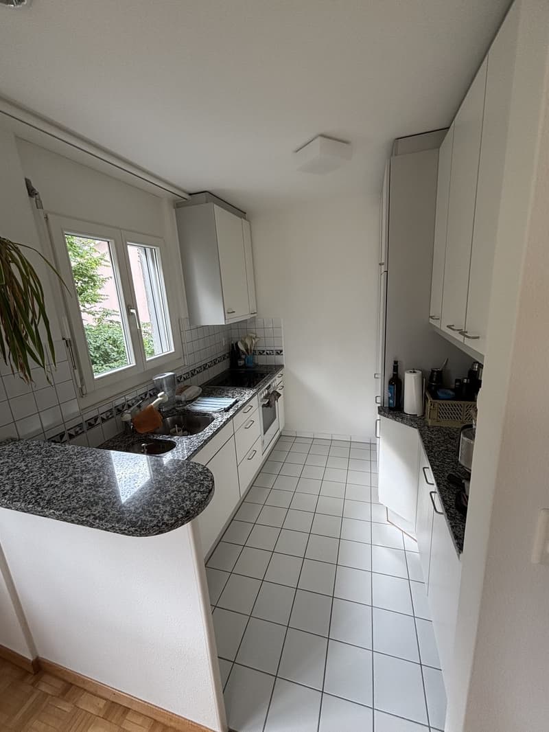 Schöne Wohnung beim Triemli zur Untermiete (befristet, möbliert). (6)