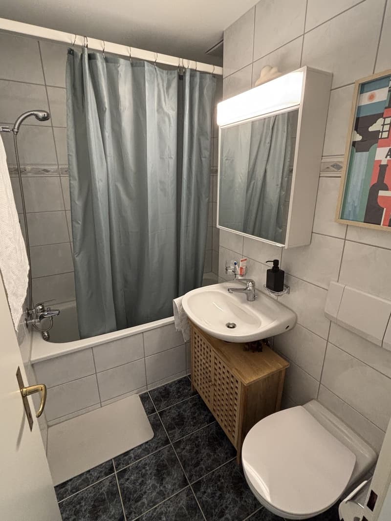 Schöne Wohnung beim Triemli zur Untermiete (befristet, möbliert). (4)