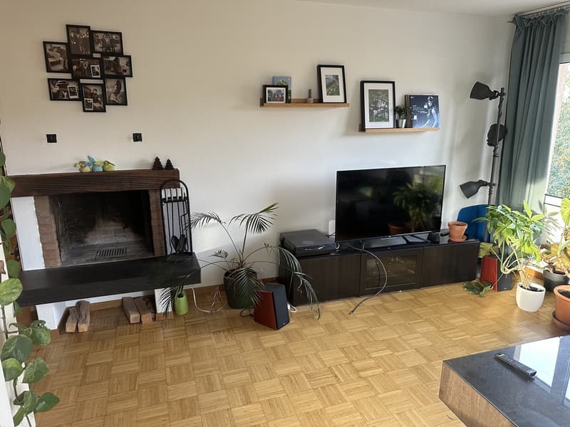 WG-Zimmer in 4.5 Zimmerwohnung (4)