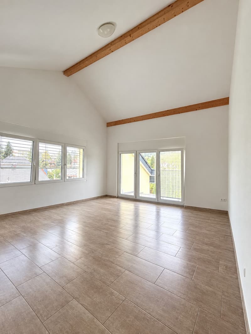 Schöne Dachwohnung sucht Nachmieter/In (3)