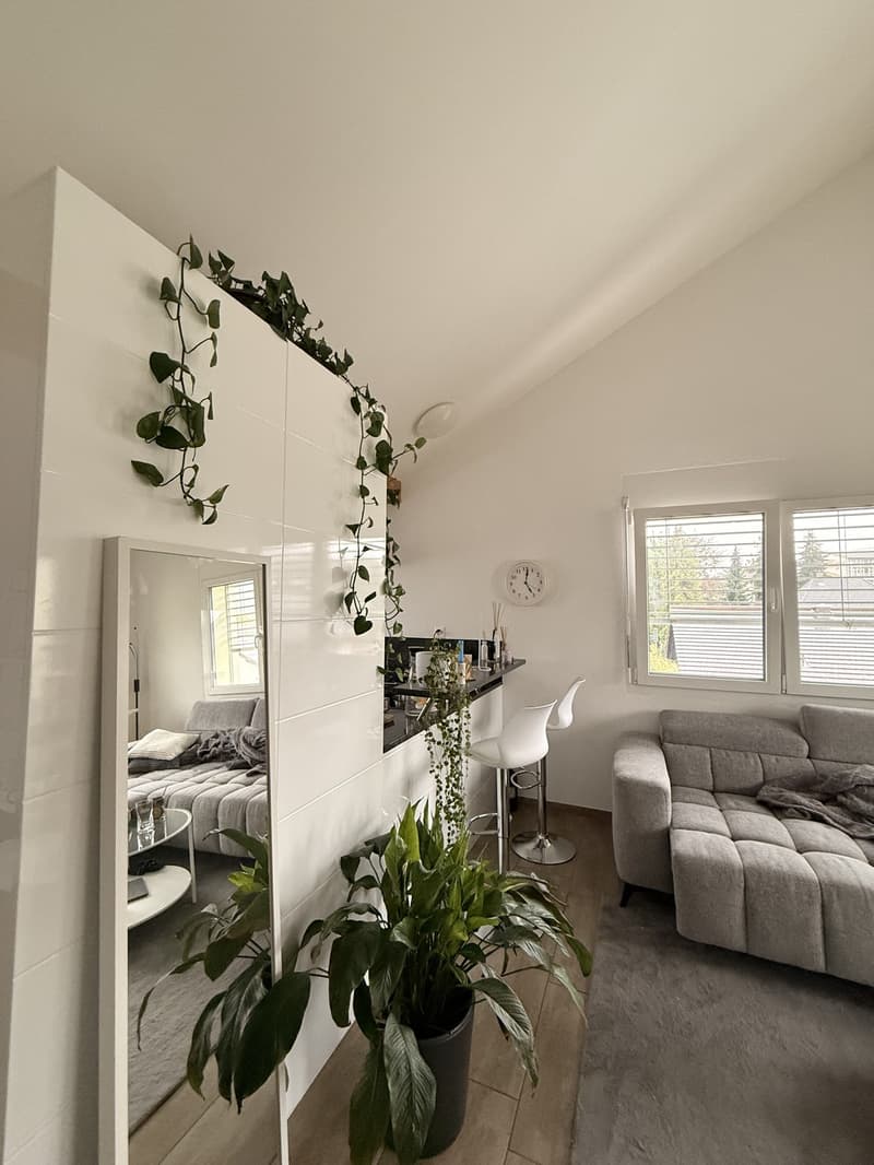 Schöne Dachwohnung sucht Nachmieter/In (1)