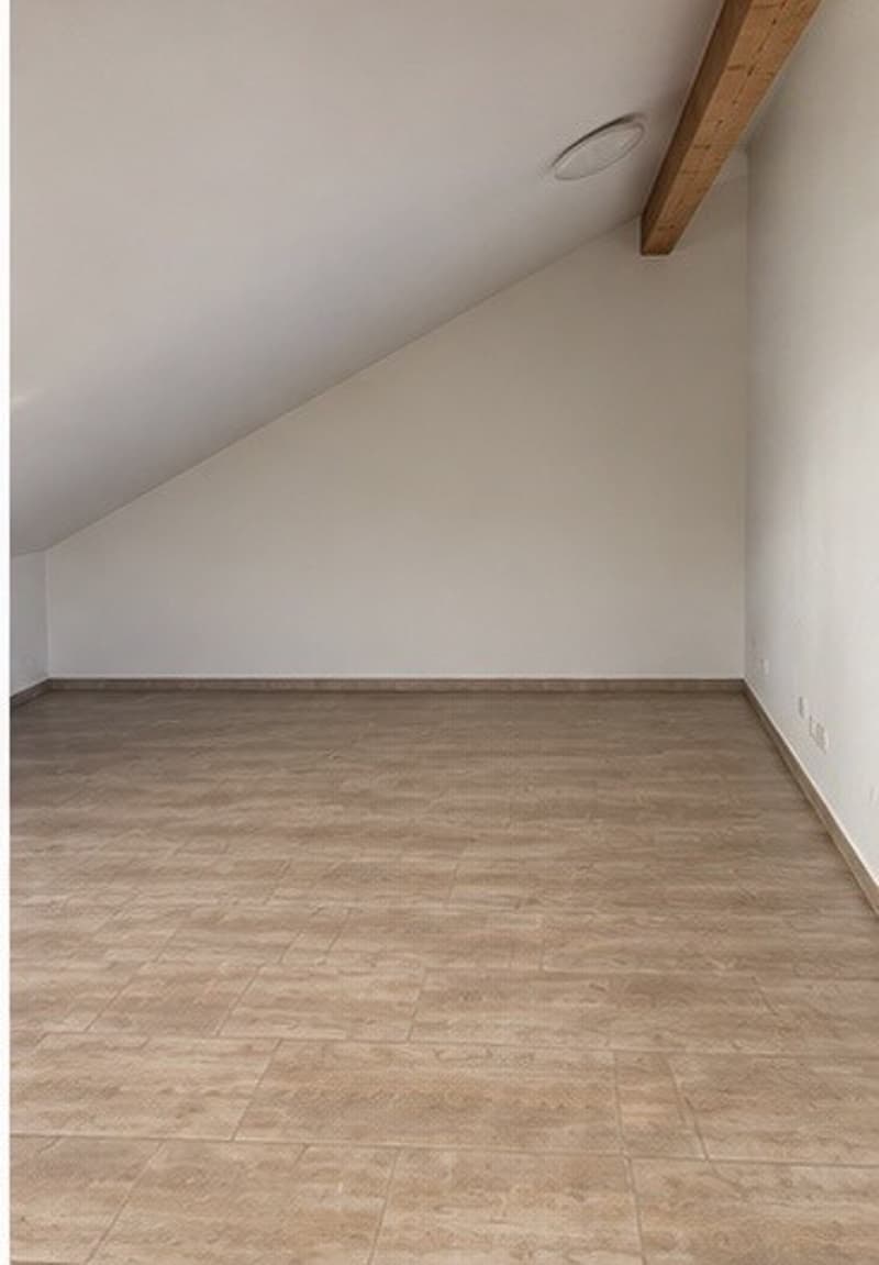 Schöne Dachwohnung sucht Nachmieter/In (7)