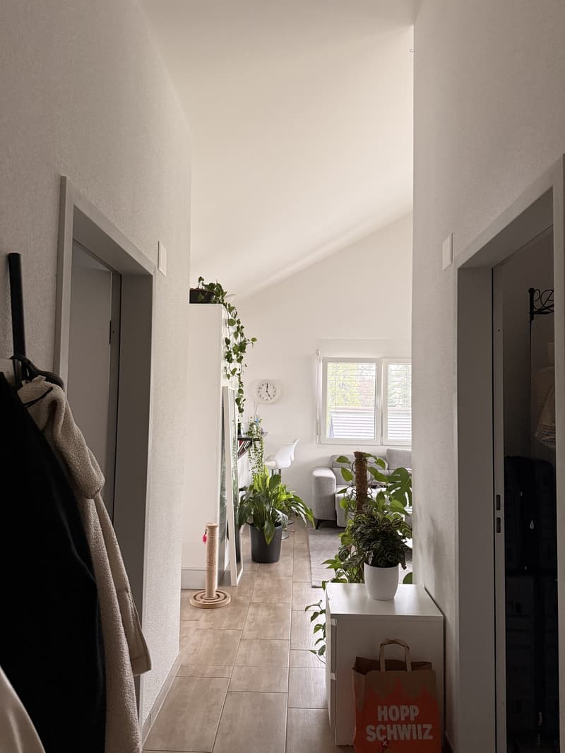 Schöne Dachwohnung sucht Nachmieter/In (2)