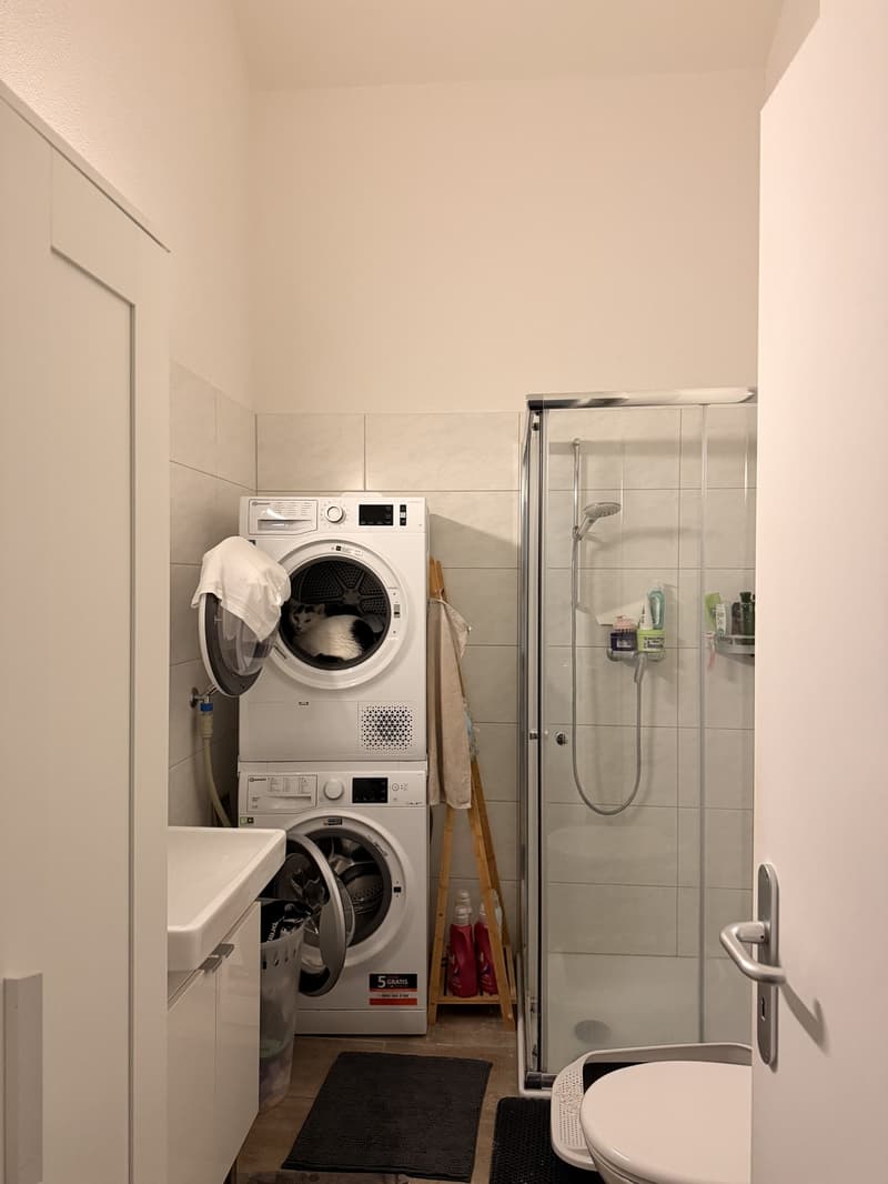 Schöne Dachwohnung sucht Nachmieter/In (11)