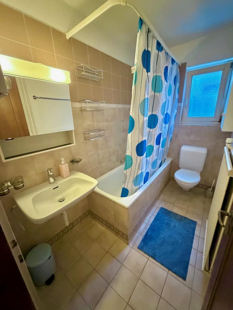 Ruhig gelegenes WG-Zimmer mit guter Verkehrs-/ÖV Anbindung :) (9)