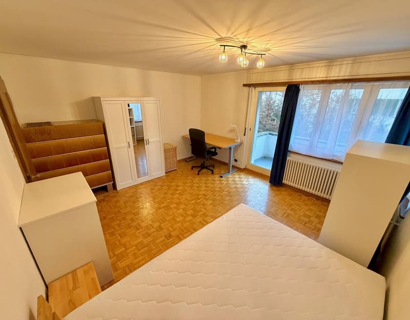 Ruhig gelegenes WG-Zimmer mit guter Verkehrs-/ÖV Anbindung :) (3)