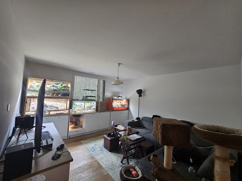 Schöne 4.5 Zimmer Wohnung an der Ergolz (12)