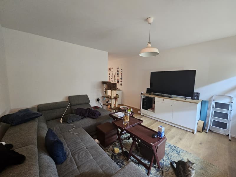 Schöne 4.5 Zimmer Wohnung an der Ergolz (13)