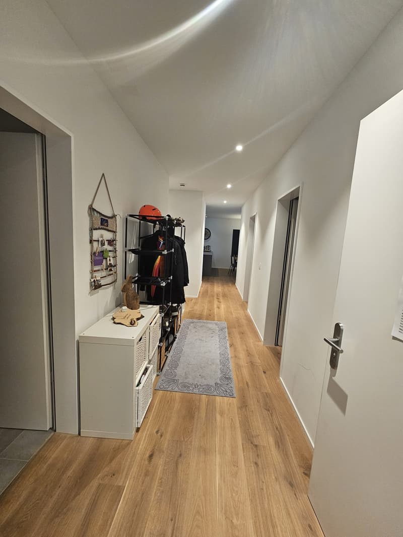 Schöne 4.5 Zimmer Wohnung an der Ergolz (1)