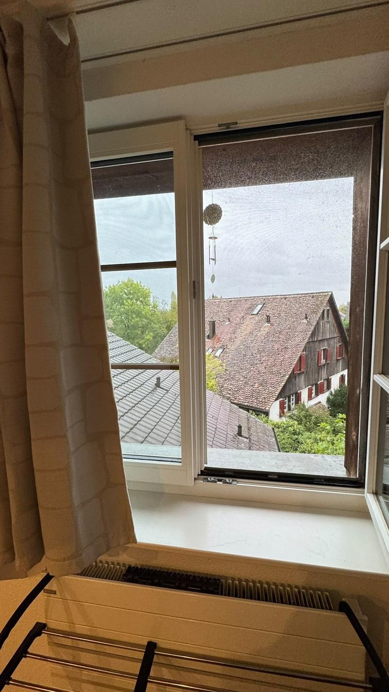 Nachmieter gesucht: 3.5-Zimmer-Dachwohnung in Oberglatt ZH ab 1. Dezember 2026 (4)