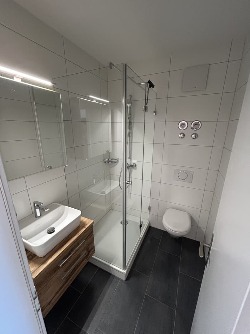 Renovierte 2-Zimmerwohnung in Zollikofen (3)