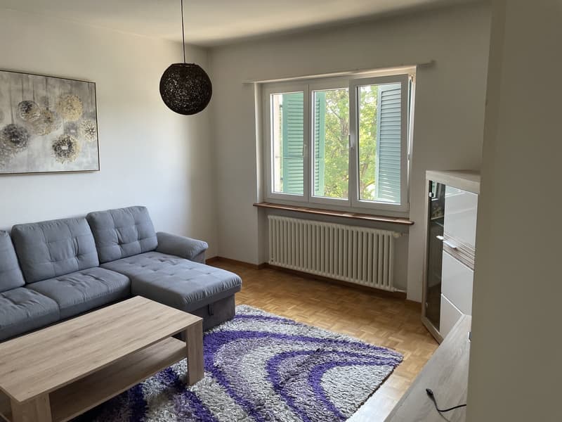 Renovierte 2-Zimmerwohnung in Zollikofen (5)