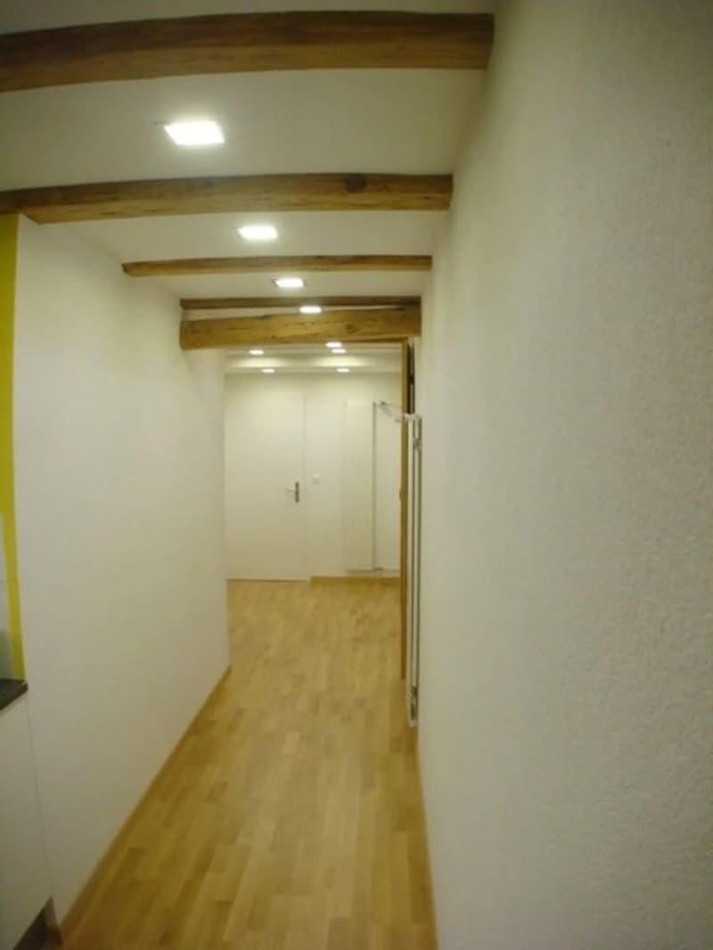 Wunderschöne, sehr gepflegte Dachwohnung in Brüttisellen ruhige und zentrale Lage (4)