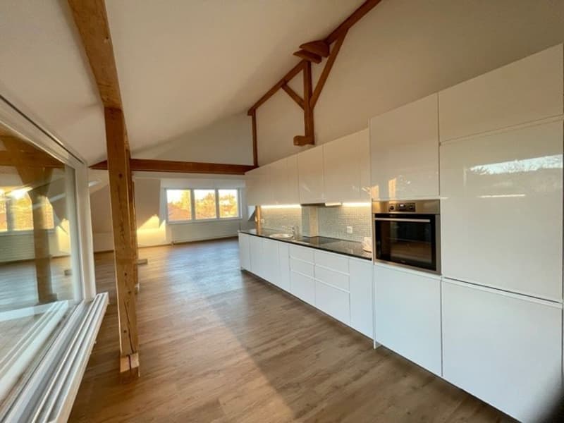 Charmante 4½-Zimmer-Dachwohnung mit Holzbalken und gedeckter Loggia (1)